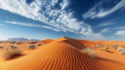 Fototapeta na wymiar Desert Landscapes: Photograph vast desert landscapes, sand dunes, and camel caravans
