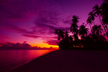 Tropical beach during vivid sunset with calm ocean and coconut palm trees silhouettes and colorful...