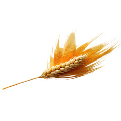 Wheat isolated on transparent background