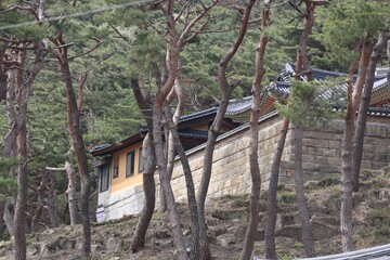 Spring scenery of old temples in Korea
