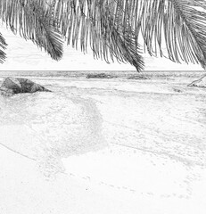 Palmes sur plage des Seychelles 