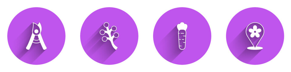 Set Gardening handmade scissors, Blossom tree branch, Carrot and Location with flower icon with long shadow. Vector