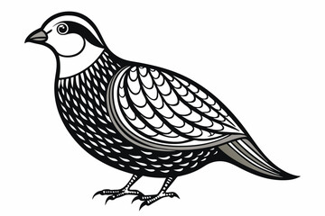 Quail outline vector  