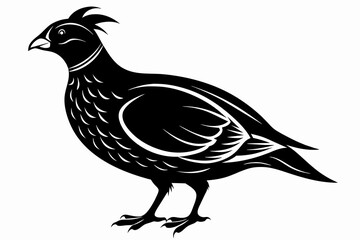 Quail vector silhouette   