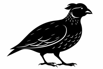 Quail vector silhouette   