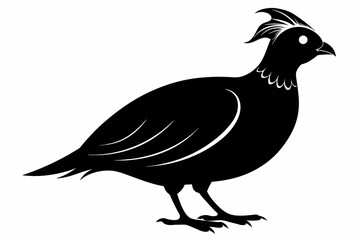 Quail vector silhouette   