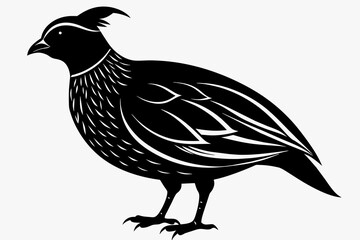 Quail black silhouette vector  