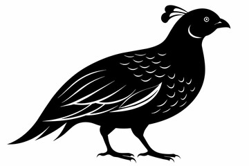 Quail black silhouette vector  