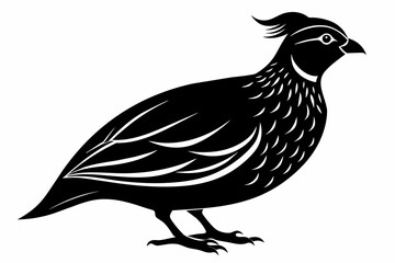 Quail black silhouette vector  