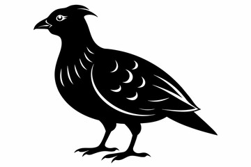 Quail black silhouette vector  