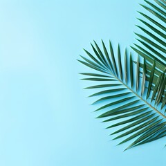 Palm leaf on a blue background with copy space for text or design. A flat lay, top view. A summer vacation concept