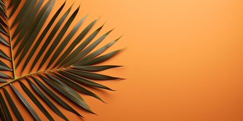 Fototapeta na wymiar Palm leaf on a brown background with copy space for text or design. A flat lay, top view. A summer vacation concept