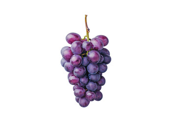 Fototapeta premium grapevine, Grapes, on isolated transparent background ,top view 