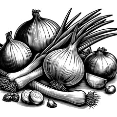 Onions and Garlic engraving PNG illustration - obrazy, fototapety, plakaty