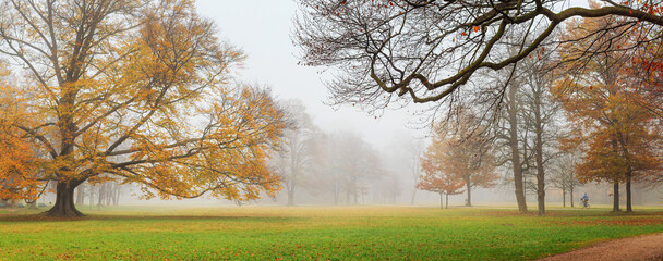 Autumn landscape, panorama, banner - view of a foggy autumn park with paths and wooden benches in...