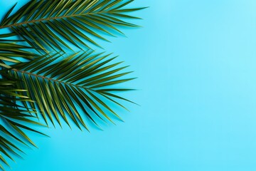 Fototapeta na wymiar Palm leaf on a cyan background with copy space for text or design. A flat lay, top view. A summer vacation concept
