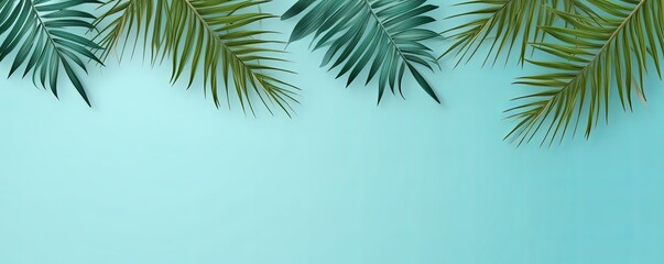Fototapeta na wymiar Palm leaf on a cyan background with copy space for text or design. A flat lay, top view. A summer vacation concept