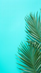 Palm leaf on a cyan background with copy space for text or design. A flat lay, top view. A summer vacation concept