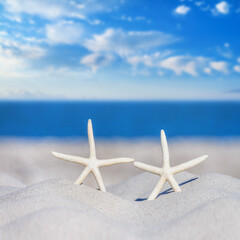 View of a beach with a pair of starfish on the sand under the hot summer sun, selective focus. Concept of sandy beach holiday, background with copy space for text