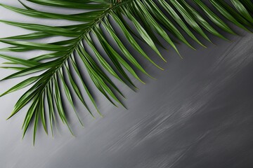 Palm leaf on a gray background with copy space for text or design. A flat lay, top view. A summer vacation concept