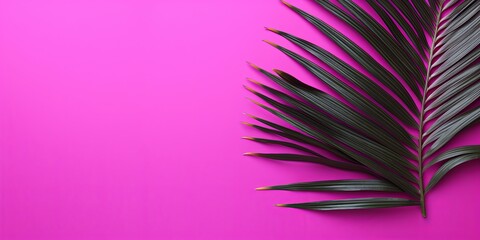 Palm leaf on a magenta background with copy space for text or design. A flat lay, top view. A summer vacation concept