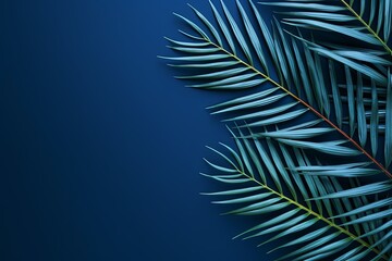 Palm leaf on a navy blue background with copy space for text or design. A flat lay, top view. A summer vacation concept