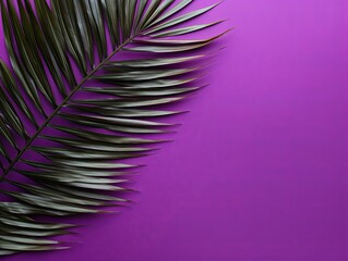 Fototapeta na wymiar Palm leaf on a purple background with copy space for text or design. A flat lay, top view. A summer vacation concept
