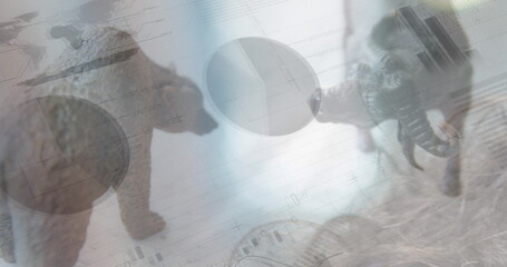 Image of data processing over bear and bullock figures