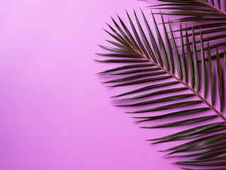 Palm leaf on a violet background with copy space for text or design. A flat lay, top view. A summer vacation concept