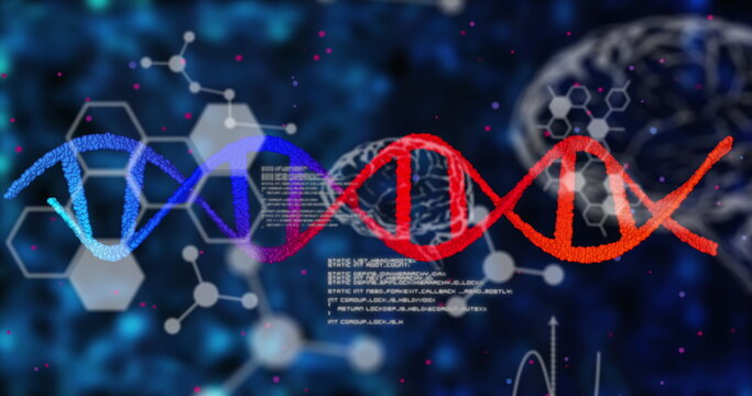 Image of dna strands with data processing over human brains