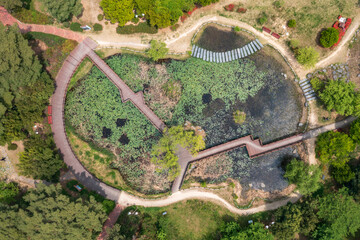 Spring scenery of the park taken by drone