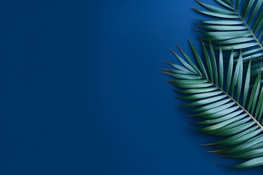 Palm leaf on an indigo background with copy space for text or design. A flat lay, top view. A summer vacation concept 