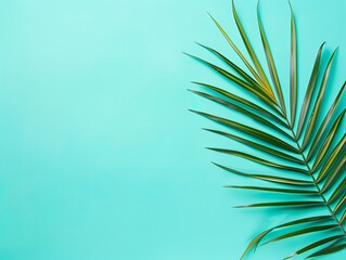 Palm leaf on a turquoise background with copy space for text or design. A flat lay, top view. A summer vacation concept