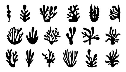 Abstract Algae Cora and seaweed shapes. Seaweed big set in silhouette style. Collection of black underwater plants.  vector illustration in flat style - obrazy, fototapety, plakaty