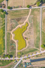 Fototapeta premium Aerial drone view. a canola-flowered river scene. A view of the canola flower festival at Namji Sports Park in Changnyeong-gun, South Gyeongsang Province, South Korea.
