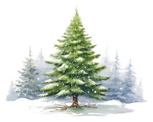 Obraz premium PNG Christmas plant tree pine. AI generated Image by rawpixel.