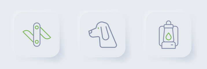 Set line Camping lantern, Hunting dog and Swiss army knife icon. Vector