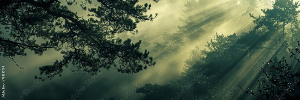 Poster mystical sunrays piercing through forest scene - an enchanting view of sunlight streaming through th