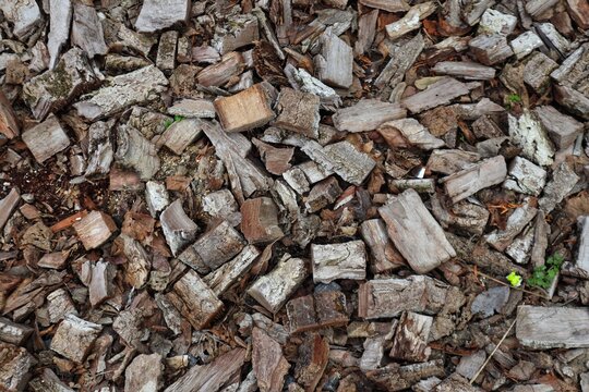 Mulch. Natural wood chips of large fractions