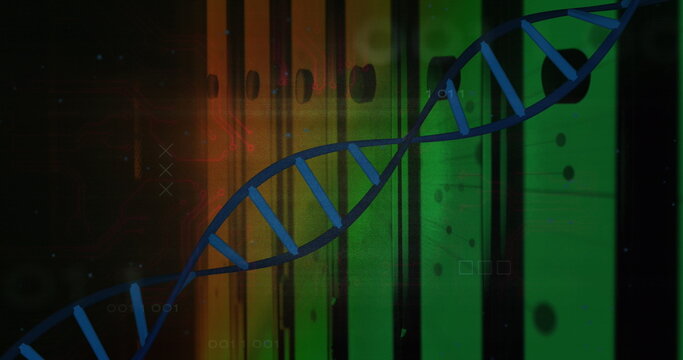 Image of dna strand and data processing over computer servers
