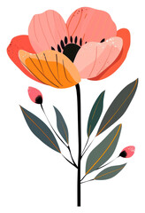 PNG Aesthetic flower in boho art blossom anemone