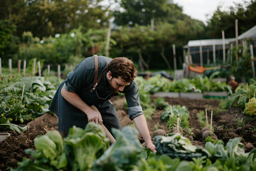 Anonymous chef harvesting fresh vegetables on a farm in daylight