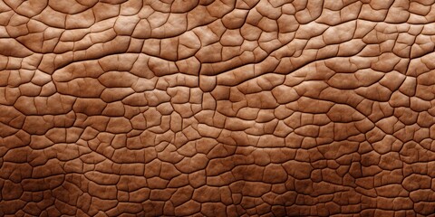 Close-Up of Cracked Earthy Animal Skin in Natural Brown Color. Fashion Background. Generative AI