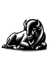 Bison SVG, Buffalo SVG, Bison Clipart, Bison Cricut, Bison Silhouette, Buffalo Silhouette, Cut file for Cricut, American Buffalo