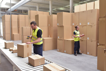 Worker in a warehouse in the logistics sector processing packages on the assembly line  - transport and processing of orders in trade - 785409486