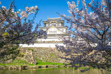 Kishiwada Castle, a Japanese castle located in Kishiwada city, Osaka, Japan.
