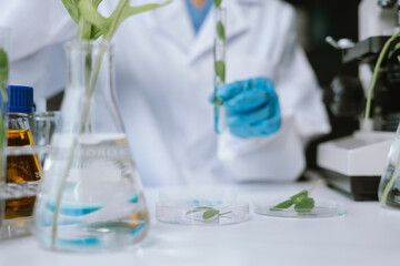 Scientist works with a pipette and a test tube. Scientific laboratory of biotechnology, development of medicine and research in chemistry, biochemistry and experiments.