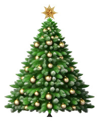 Fototapeta premium PNG Christmas tree plant pine