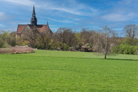  Eine Wiese und ein paar B&auml;ume und Str&auml;ucher bilden  den Vordergrund dann  schaut hinten links  der Obere Teil der Klosterkirche Riddagshausens hervor. Blauer Himmel rundet das Bild ab