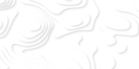 Fototapeta na wymiar Modern black and white carve wave line abstract luxury papercut background. vector minimal light element shadow landscape wave element curve graphic papercut design.